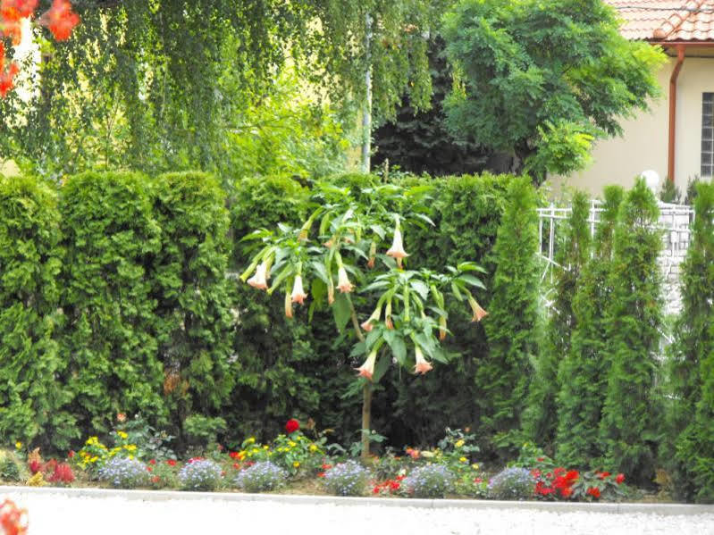 Andrea Villa Heviz I Balaton Экстерьер фото